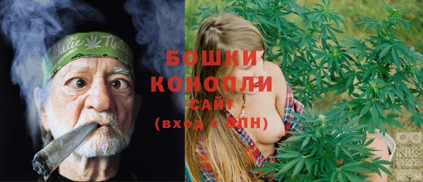 PSILOCYBIN Балахна
